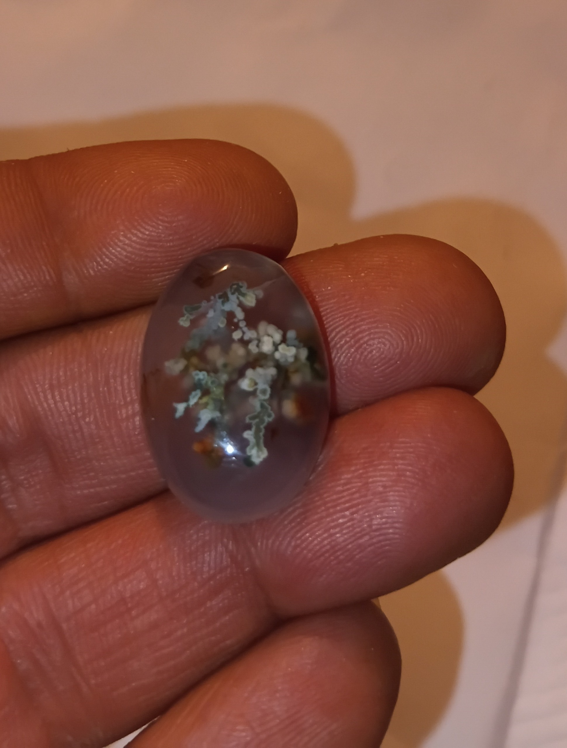 نگین شجر هفت رنگ