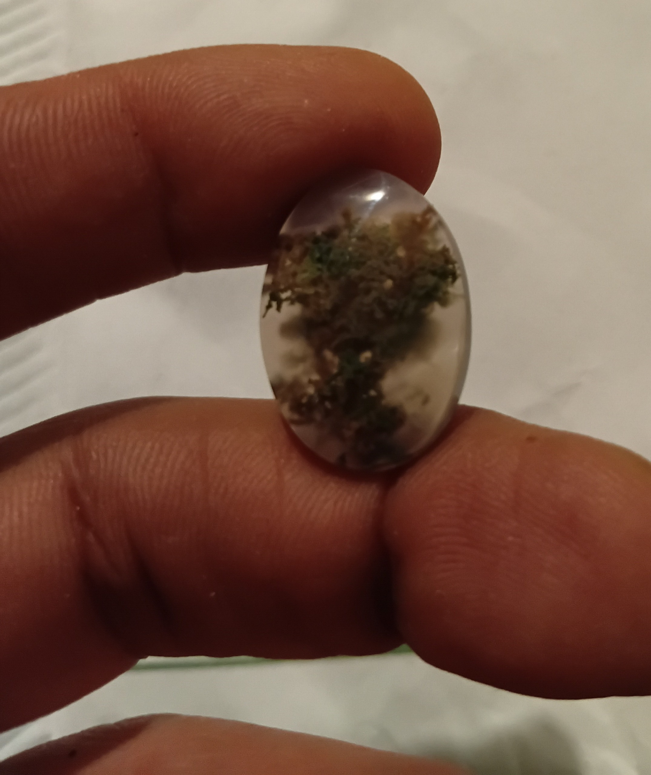 نگین شجر بهاره