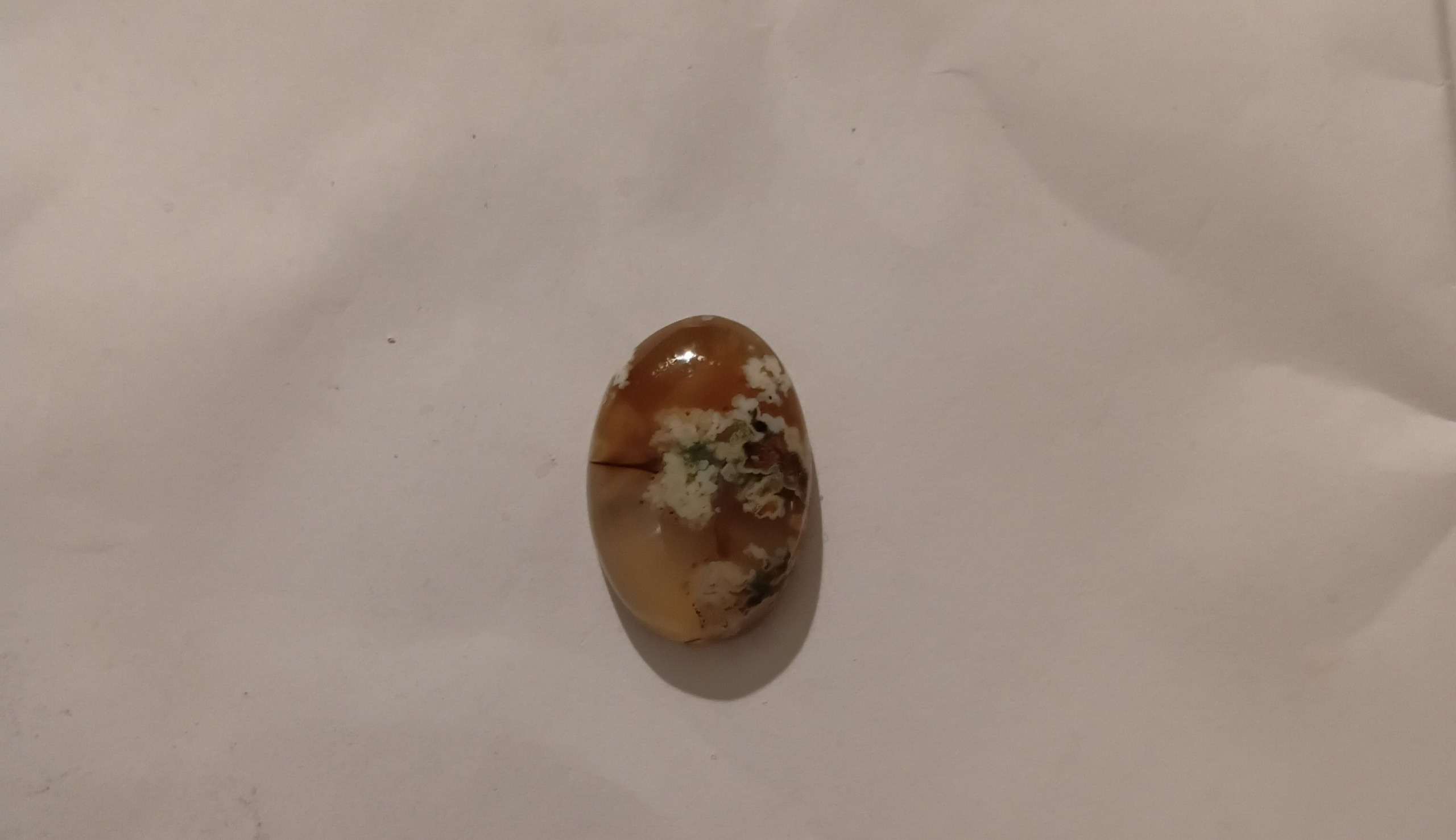 نگین شجر بهاره