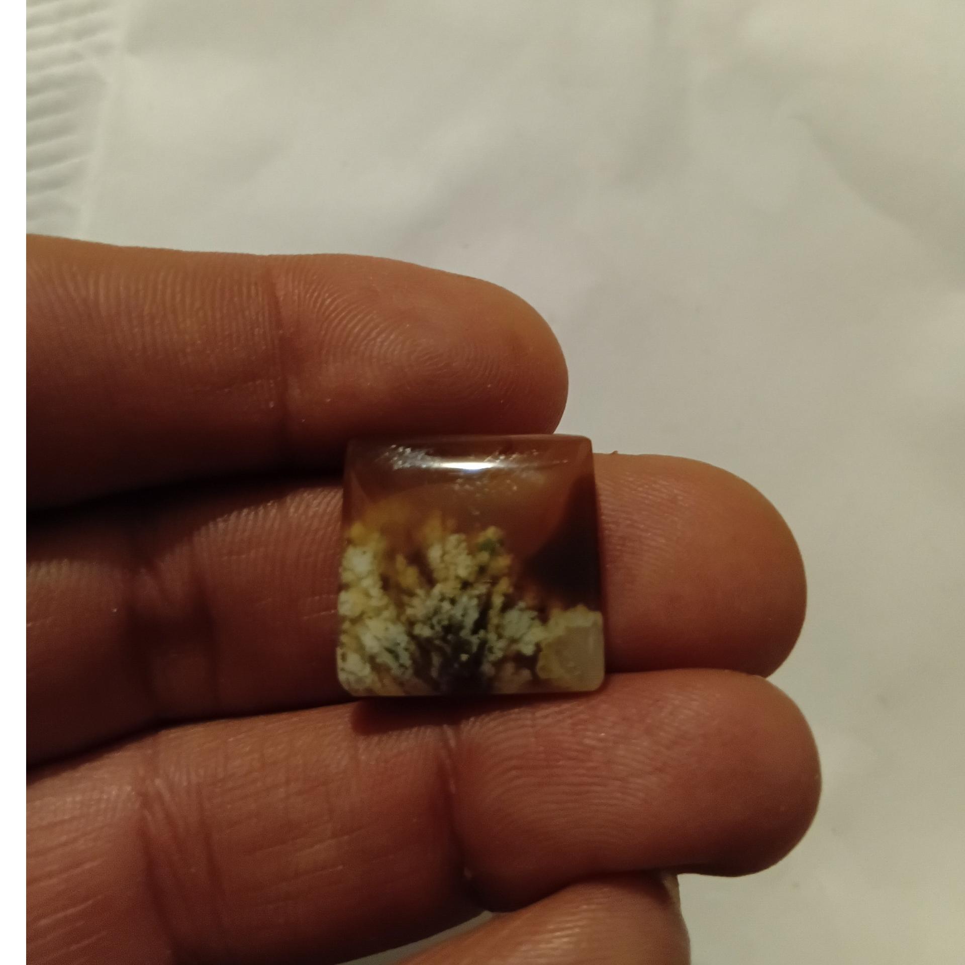 نگین شجر بهاره