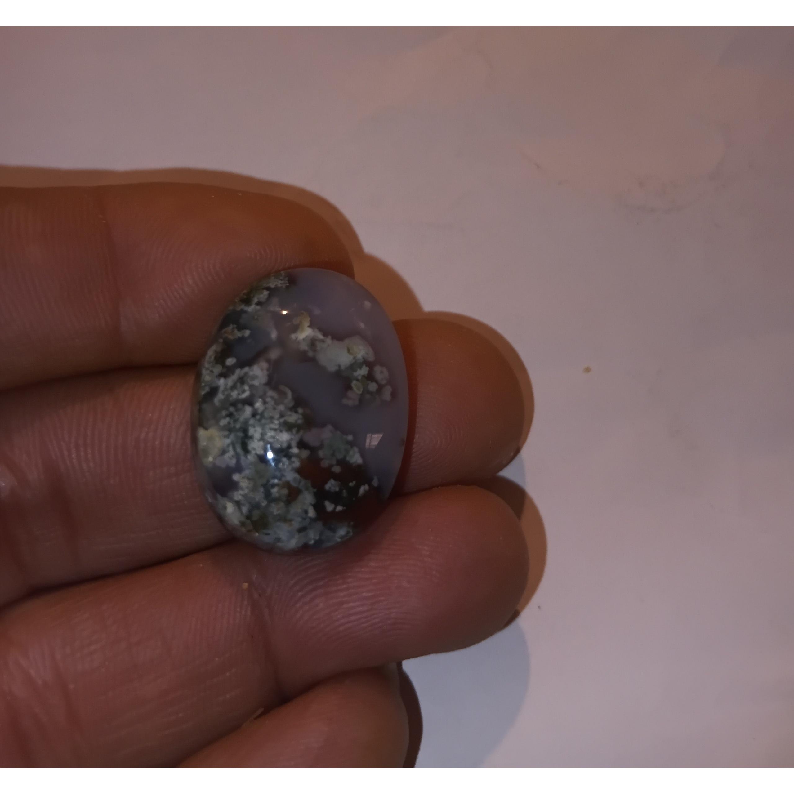 نگین شجر بهاره