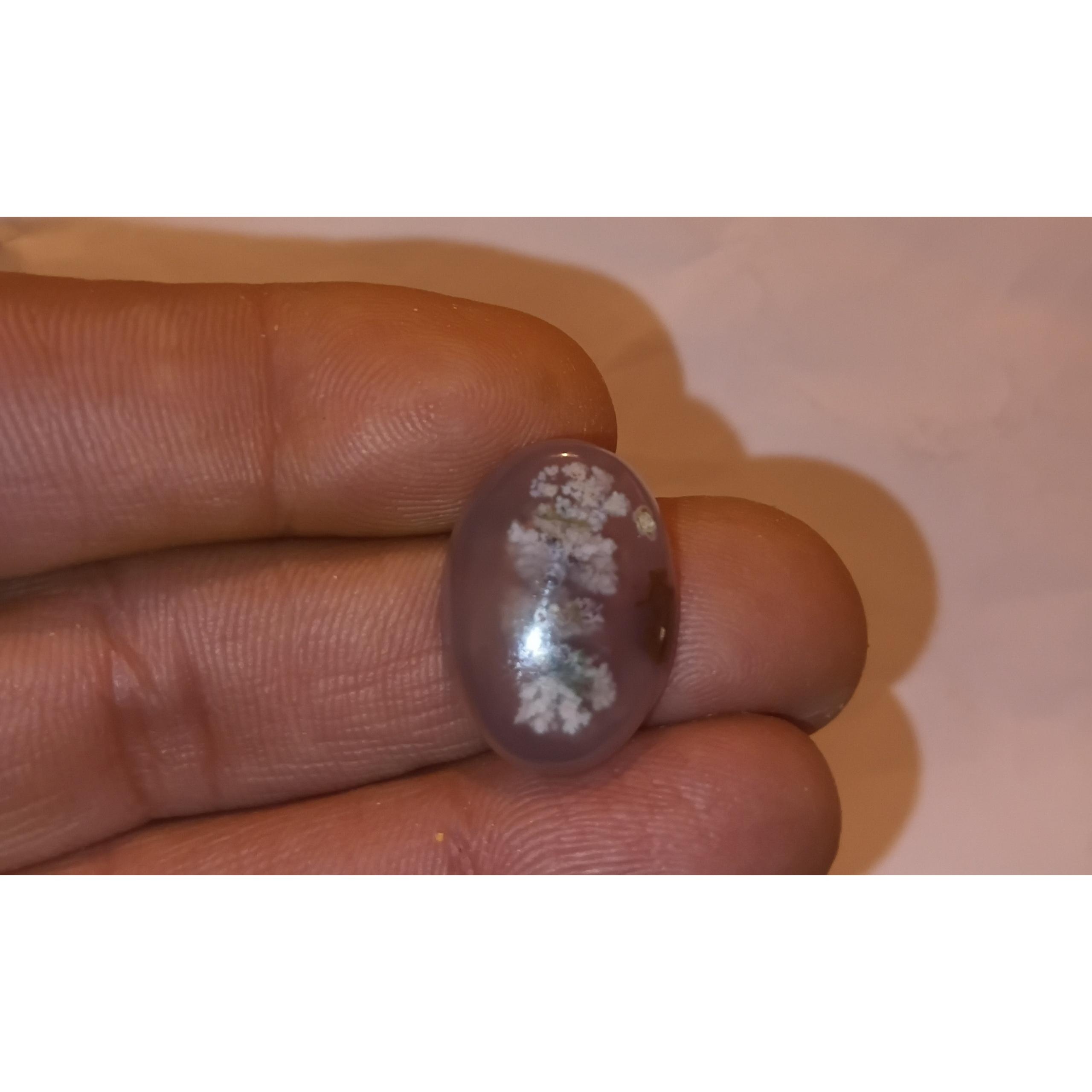 نگین شجر بهاره