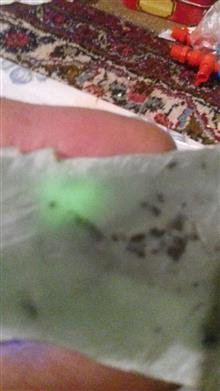 اسلایس