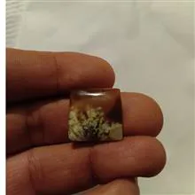 نگین