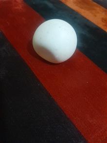 سنگ