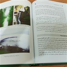 جاذبه