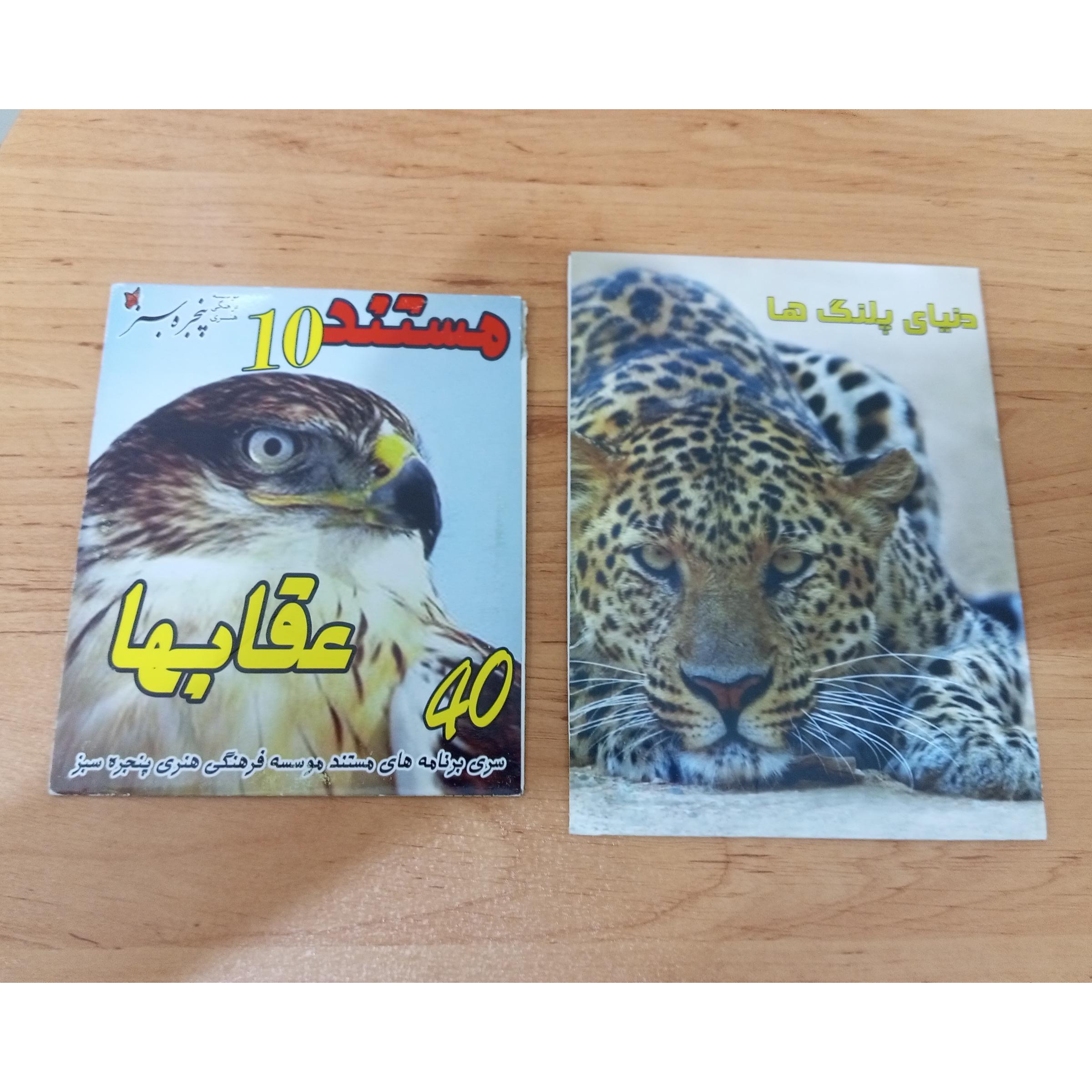 فیلم مستند دنیای پلنگ ها و عقابها