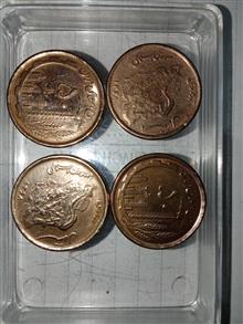 سکه