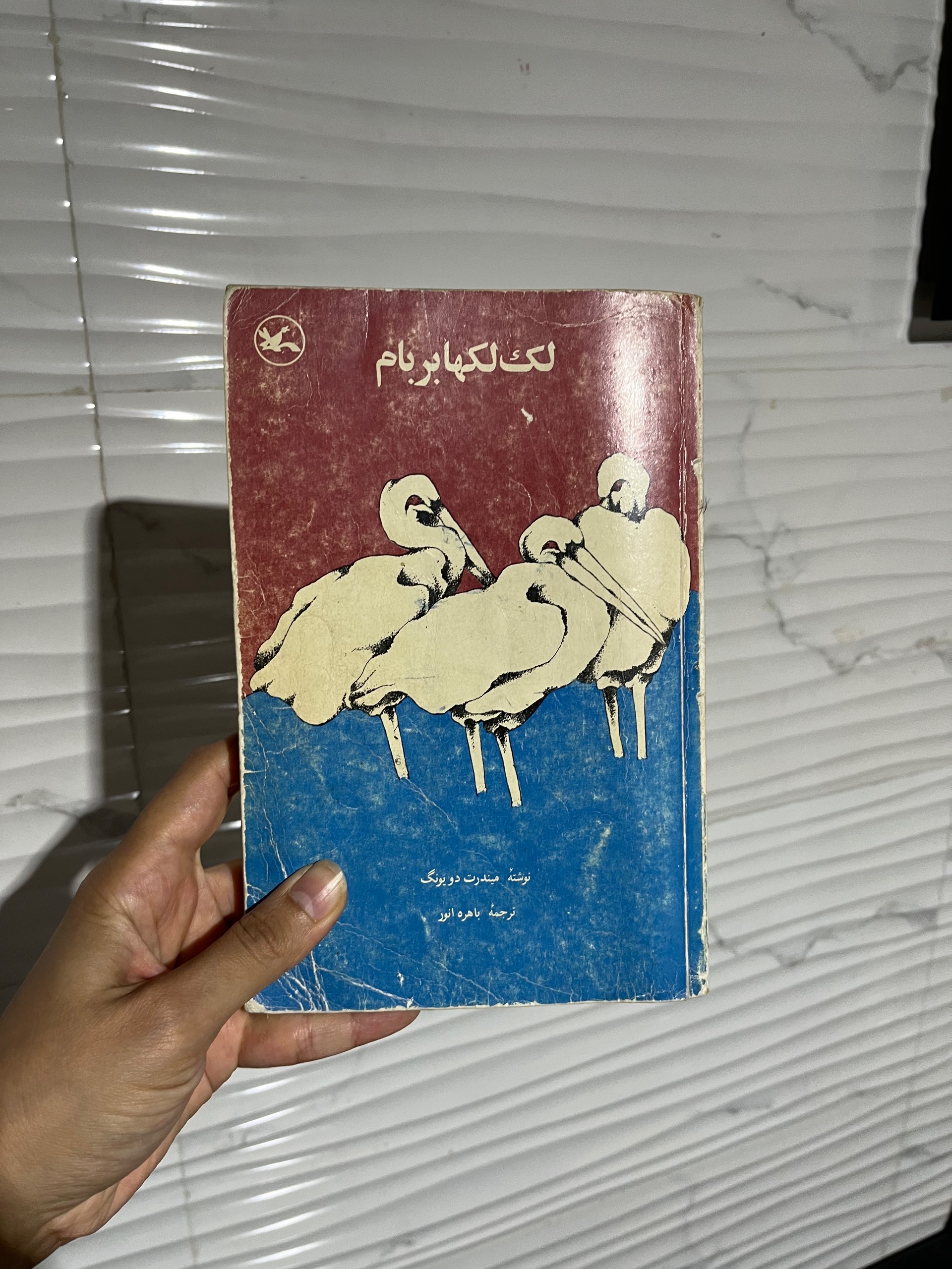 لک لک ها بر بام
