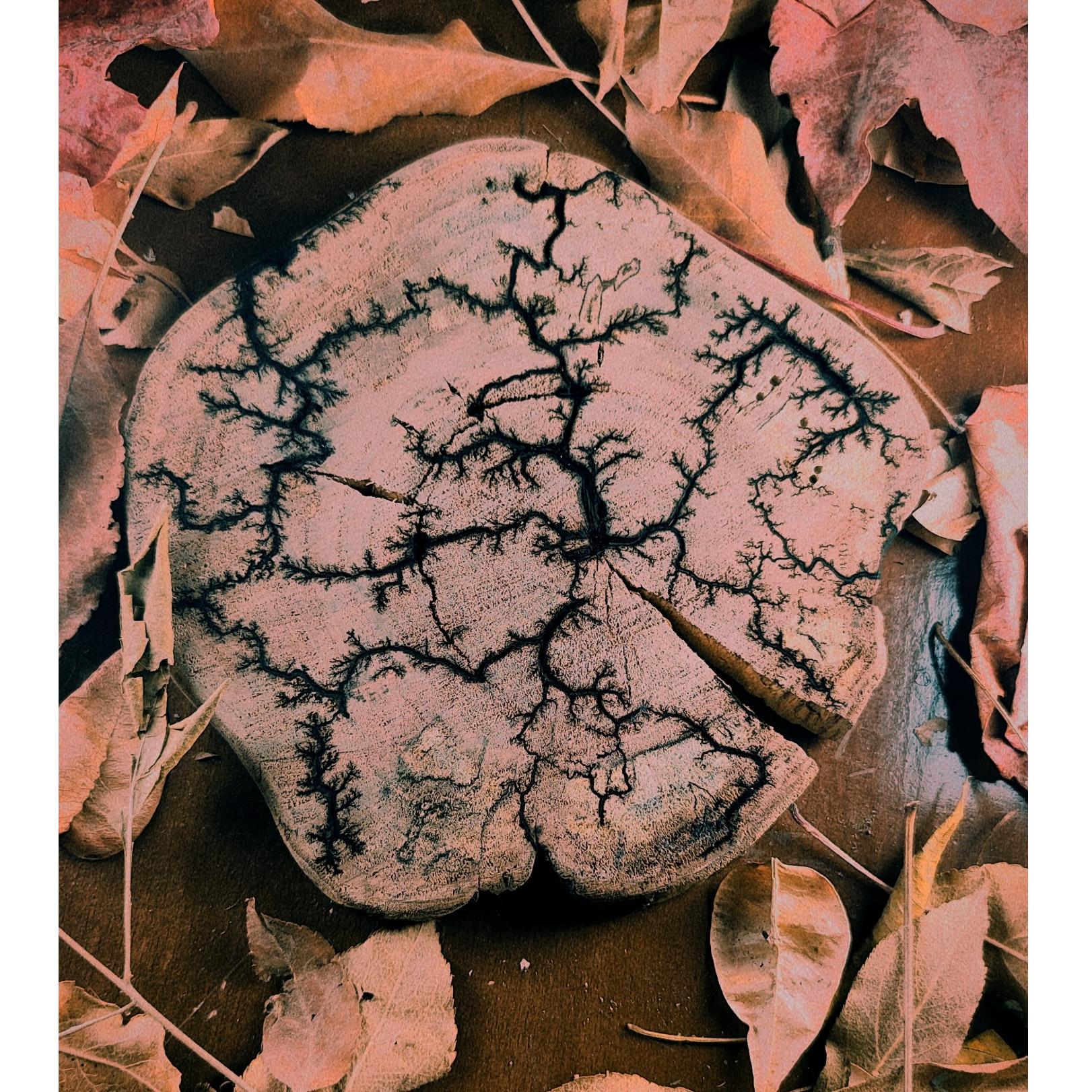 زیر لیوانی چوبی طرح آذرخش