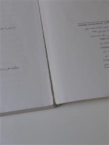 ناتور