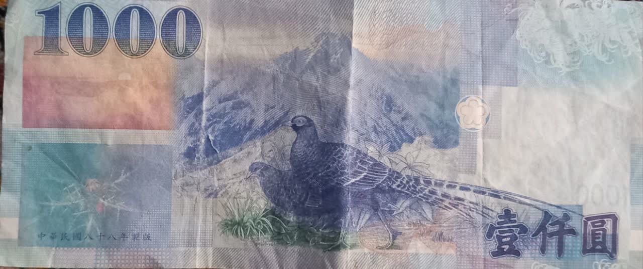 1000 یوان تایوان