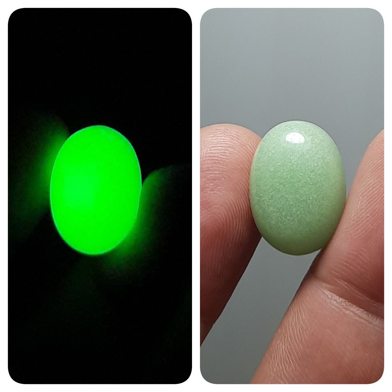 گوهر شب چراغ نورانی درشت اصلی با تلالو سبز خوشرنگ