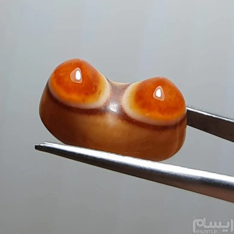 باباقوری دوکوهانه خوشرنگ اصل معدنی