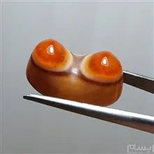 باباقوری