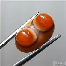 باباقوری