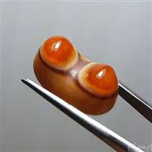 باباقوری