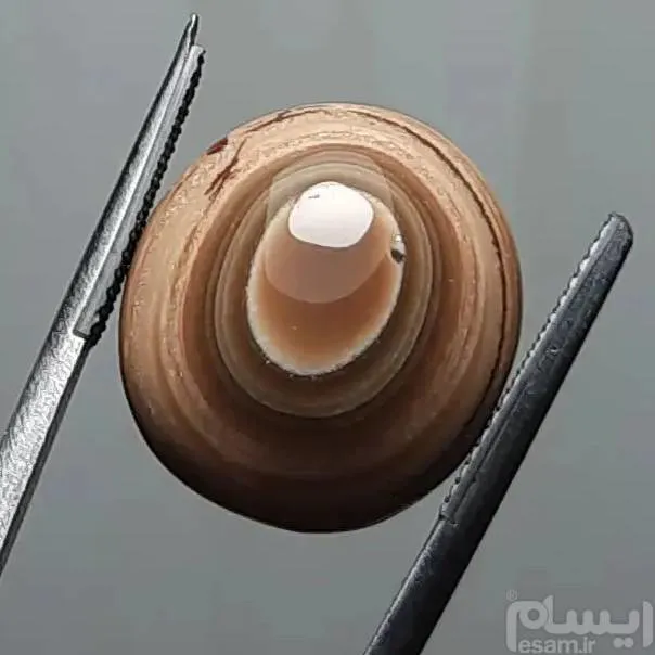 عقیق سه پوست میزان و منظم طبیعی یمن