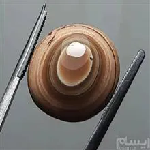 عقیق