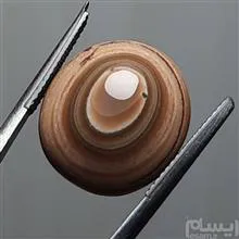 عقیق