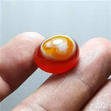 باباقوری