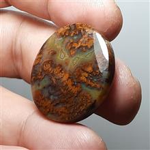 شجر