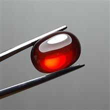 لعل