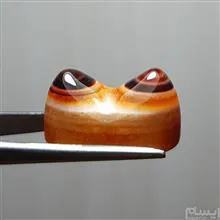 باباقوری