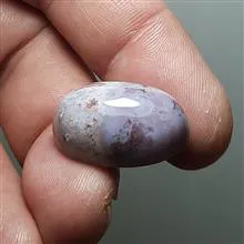 جاسپر