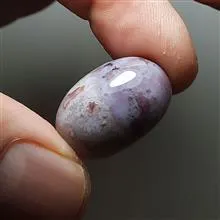 جاسپر