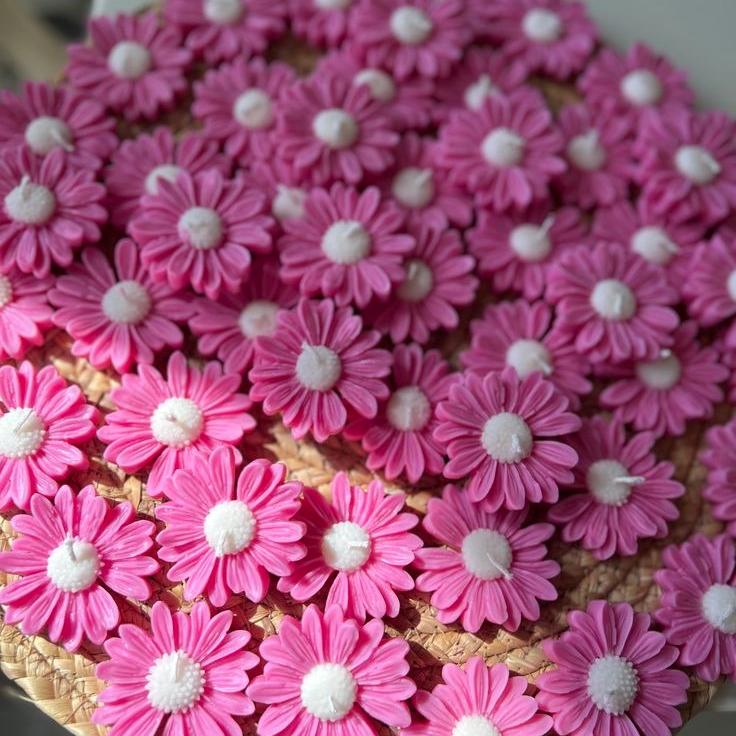 شمع بابونه رنگی