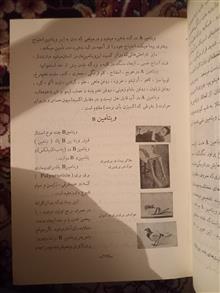 دایره
