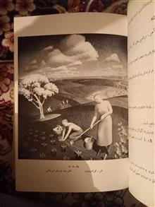دایره
