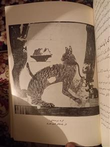 دایره