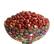 مغز