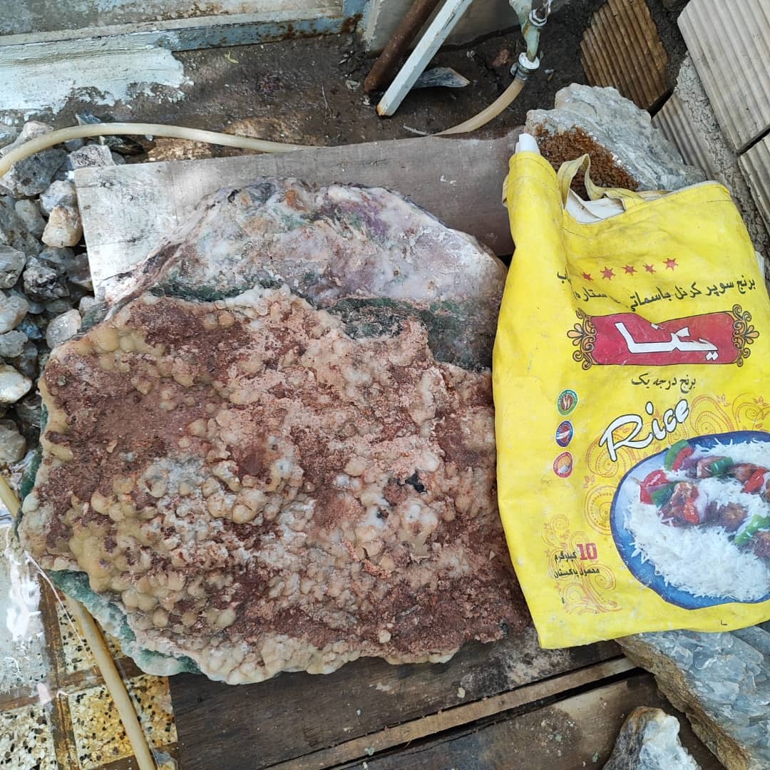 فلورین رنگین کمانی غول آسا