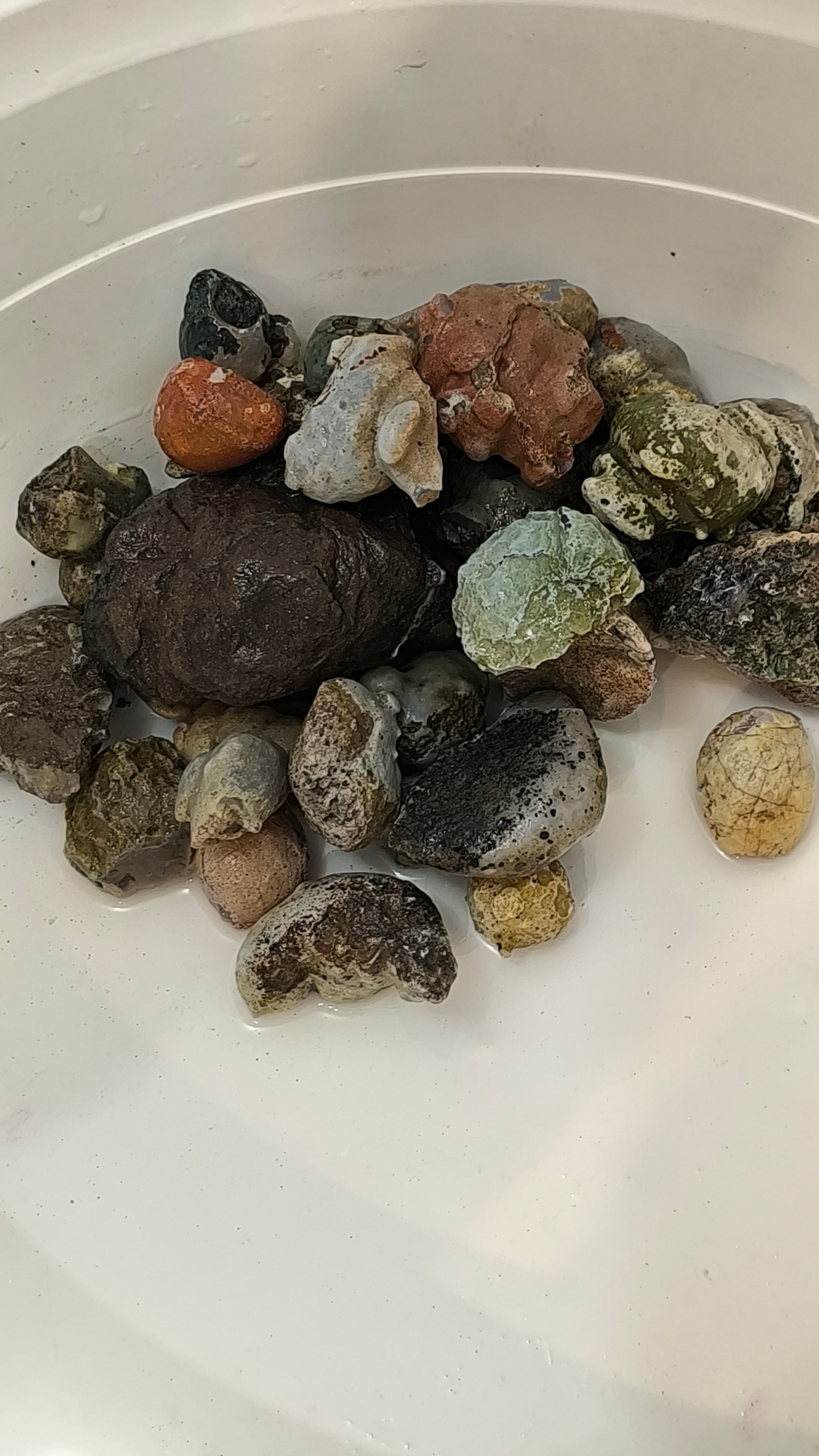 دو کیلو توپی فردوس ریز درشت پوست سبز قرمز