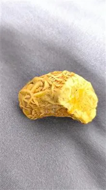 ذوعه