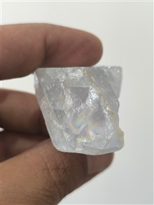 راف