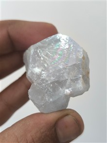 راف