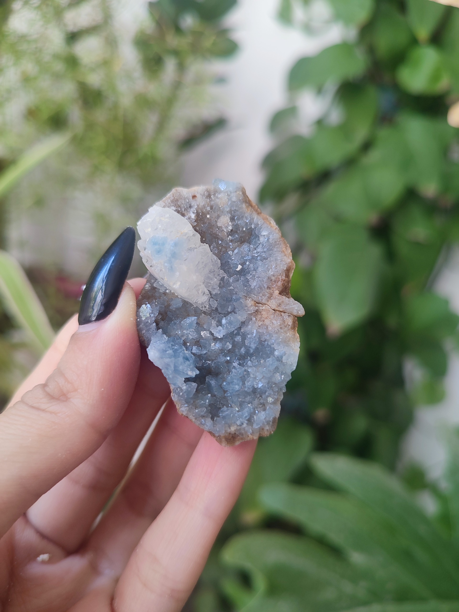 سلستین آبی طبیعی