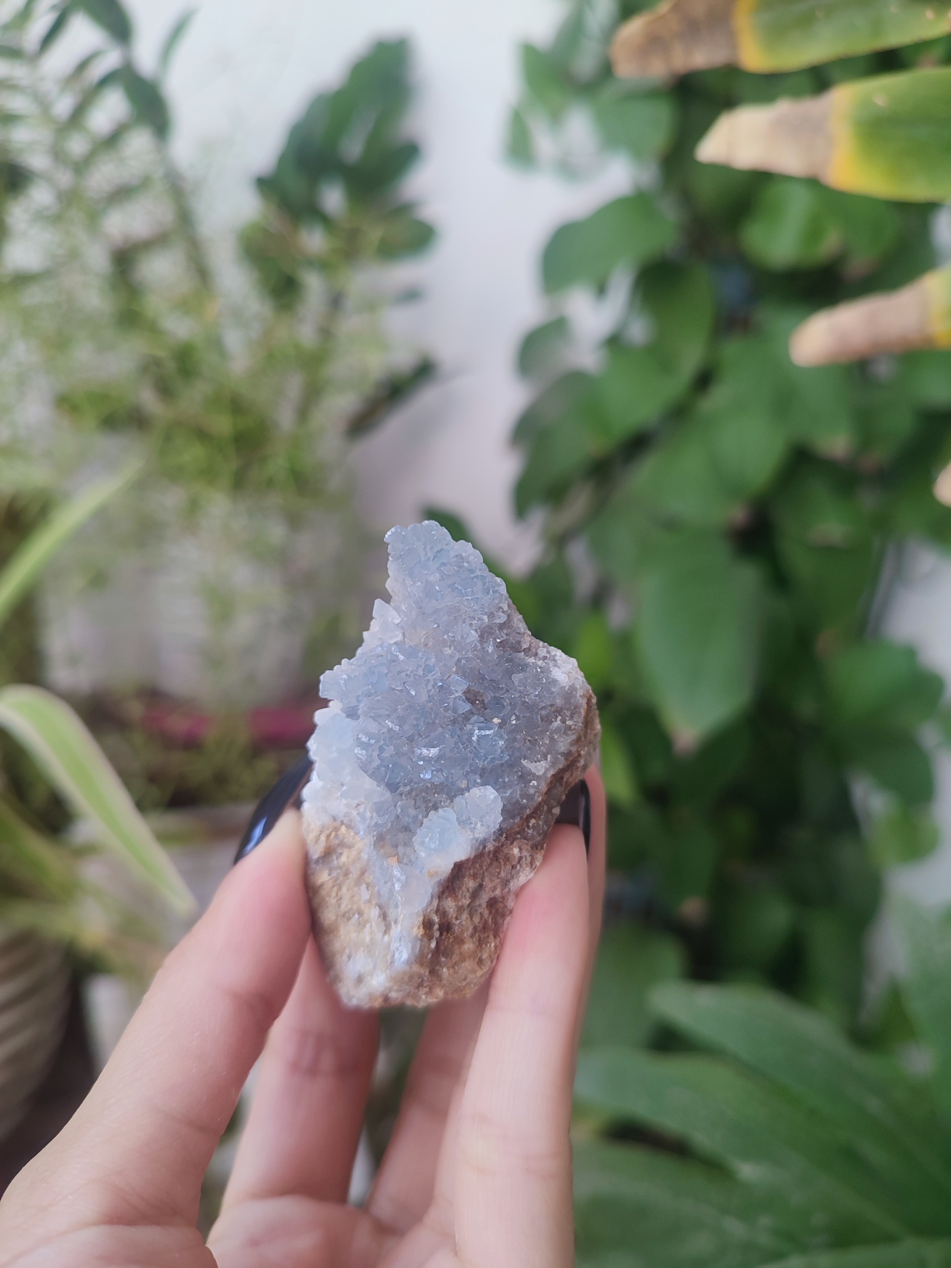 سلستین آبی طبیعی