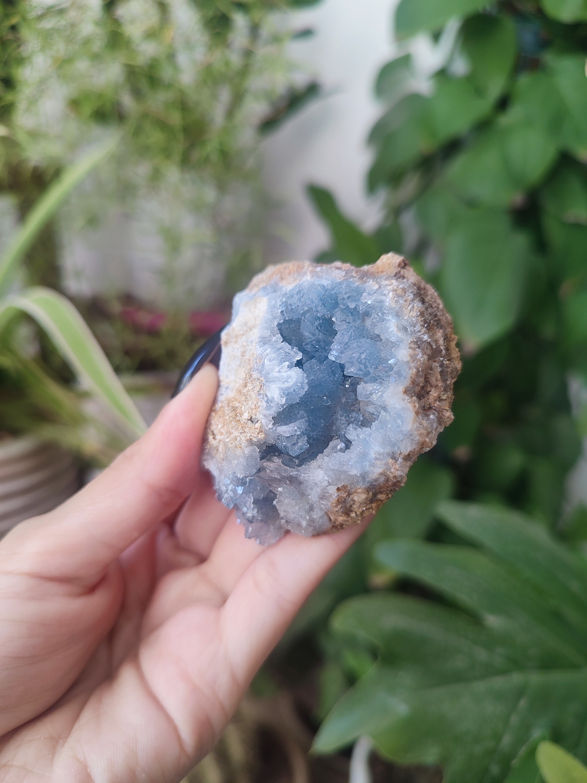 سلستین آبی طبیعی