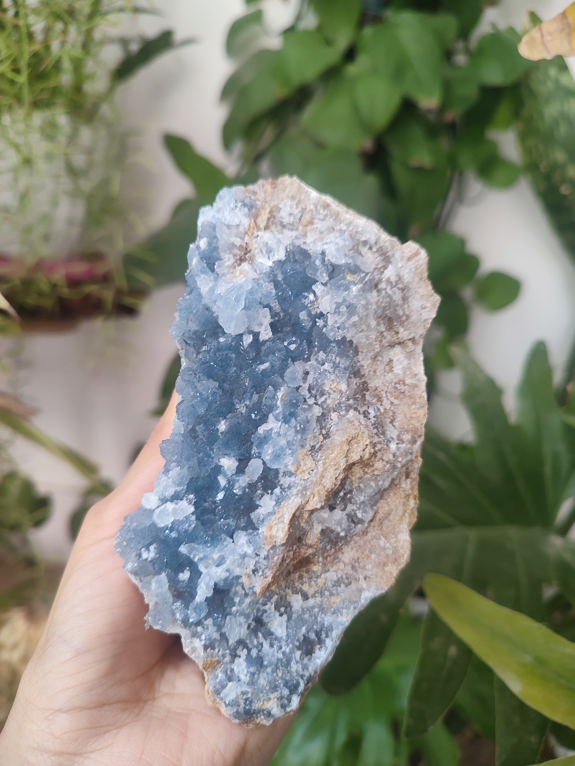 سلستین آبی طبیعی