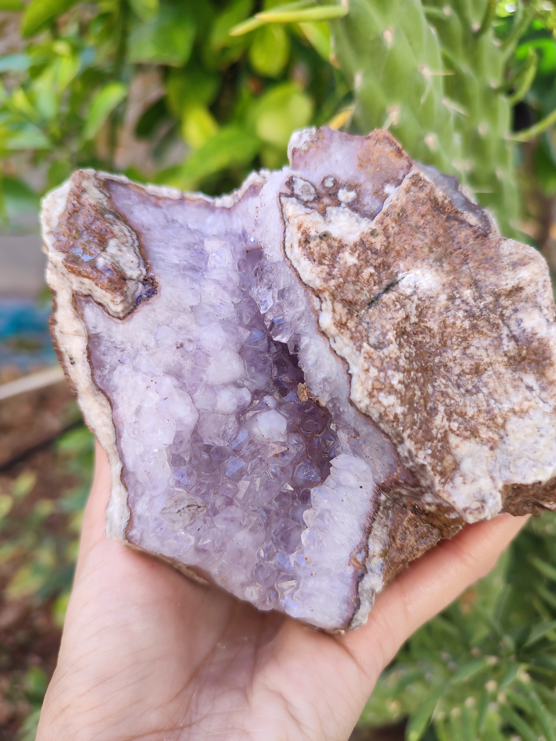 سنگ آمیتیست کلکسیونی