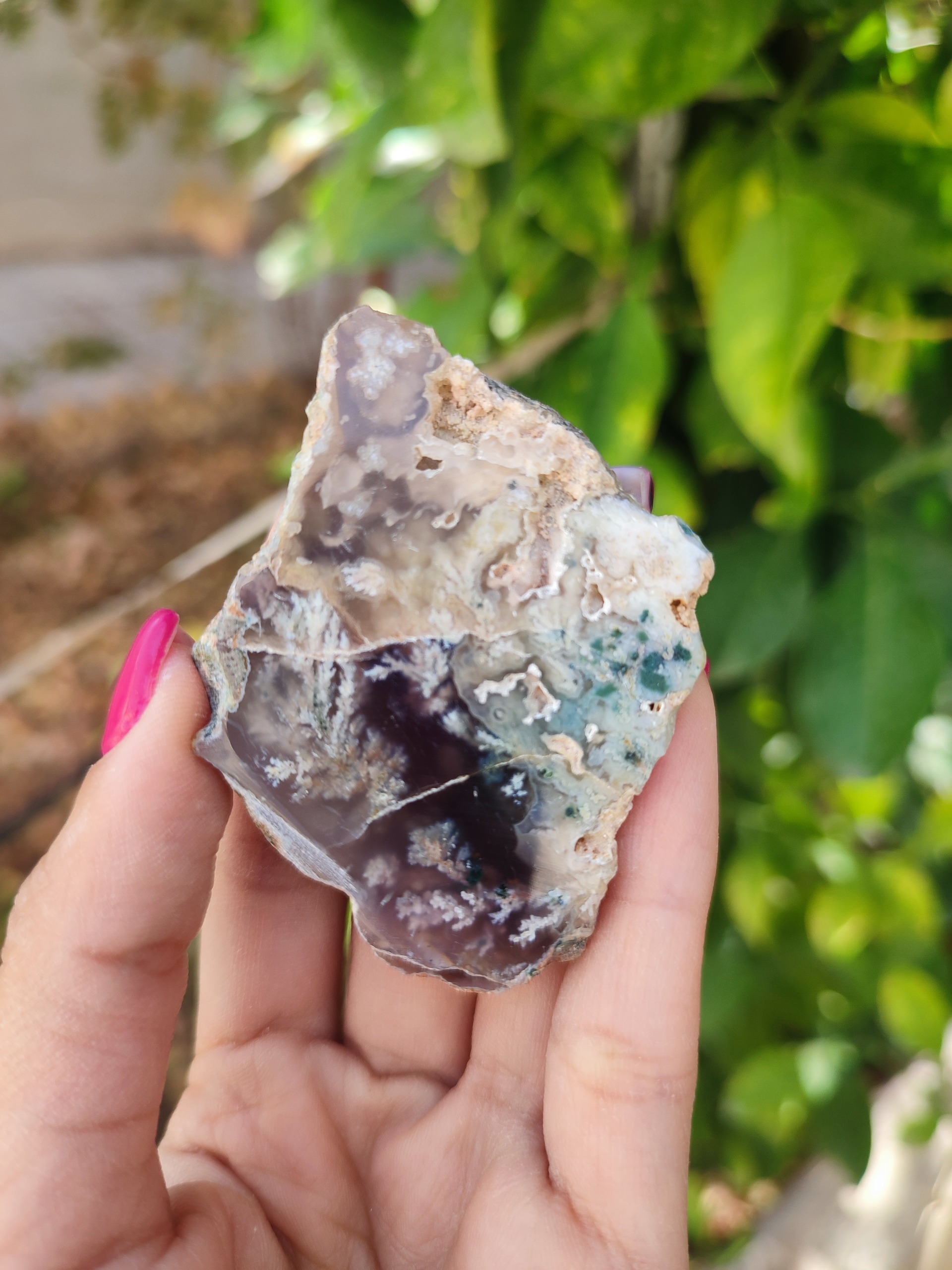 شجر بهاری پولیش خورده