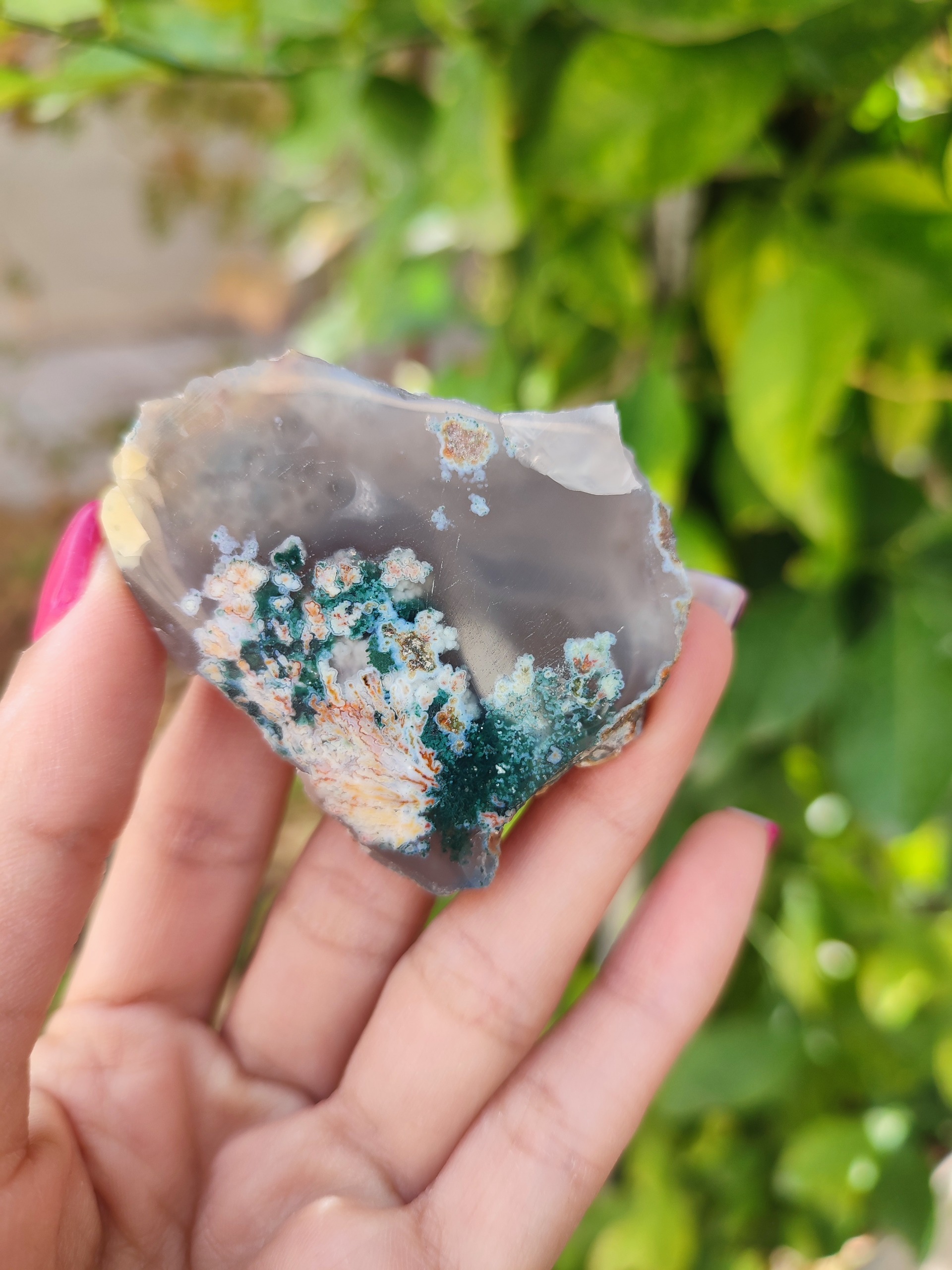 شجر بهاری کلکسیونی پولیش خورده