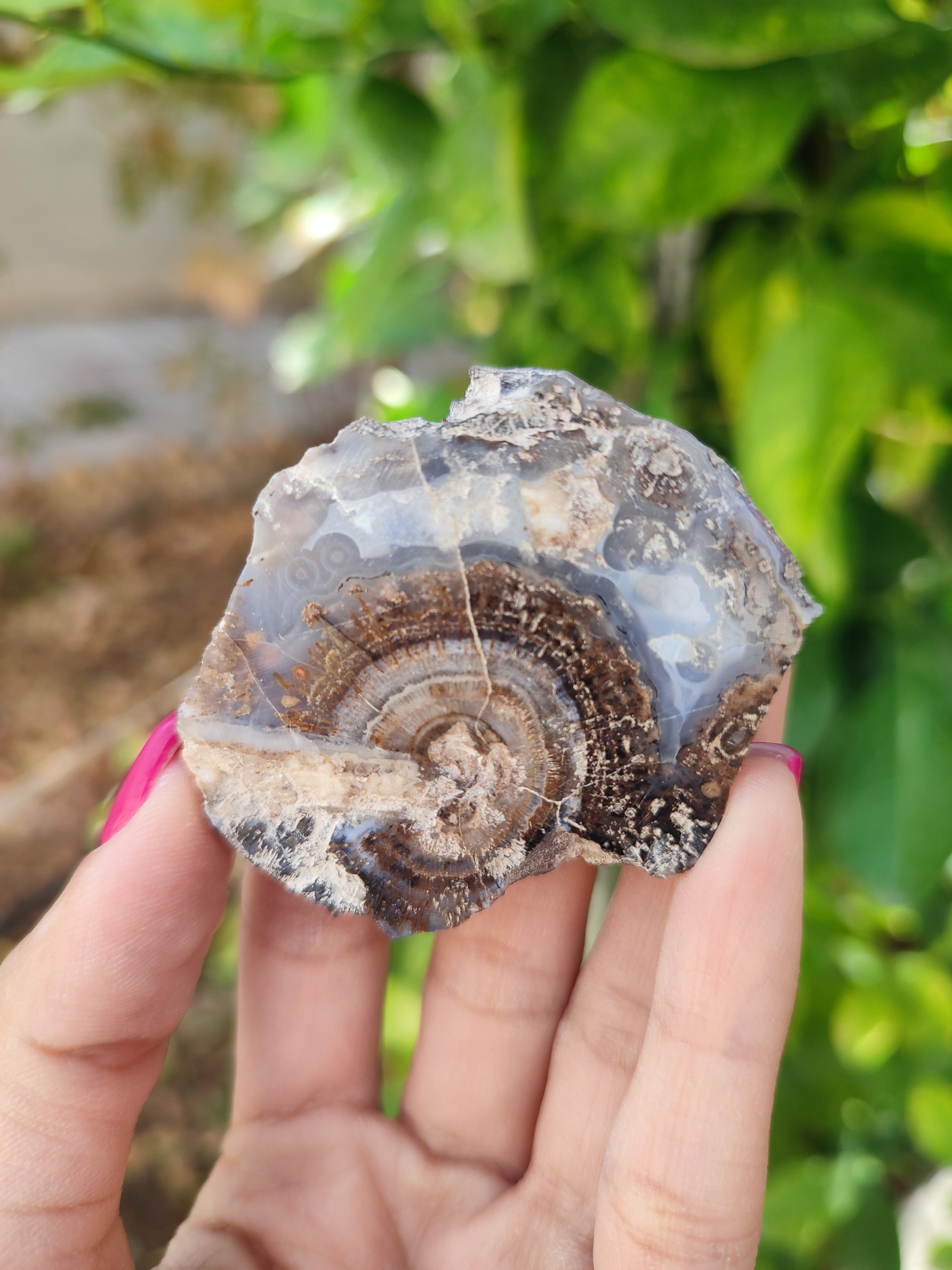 عقیق فسیل خورشیدی پولیش خورده