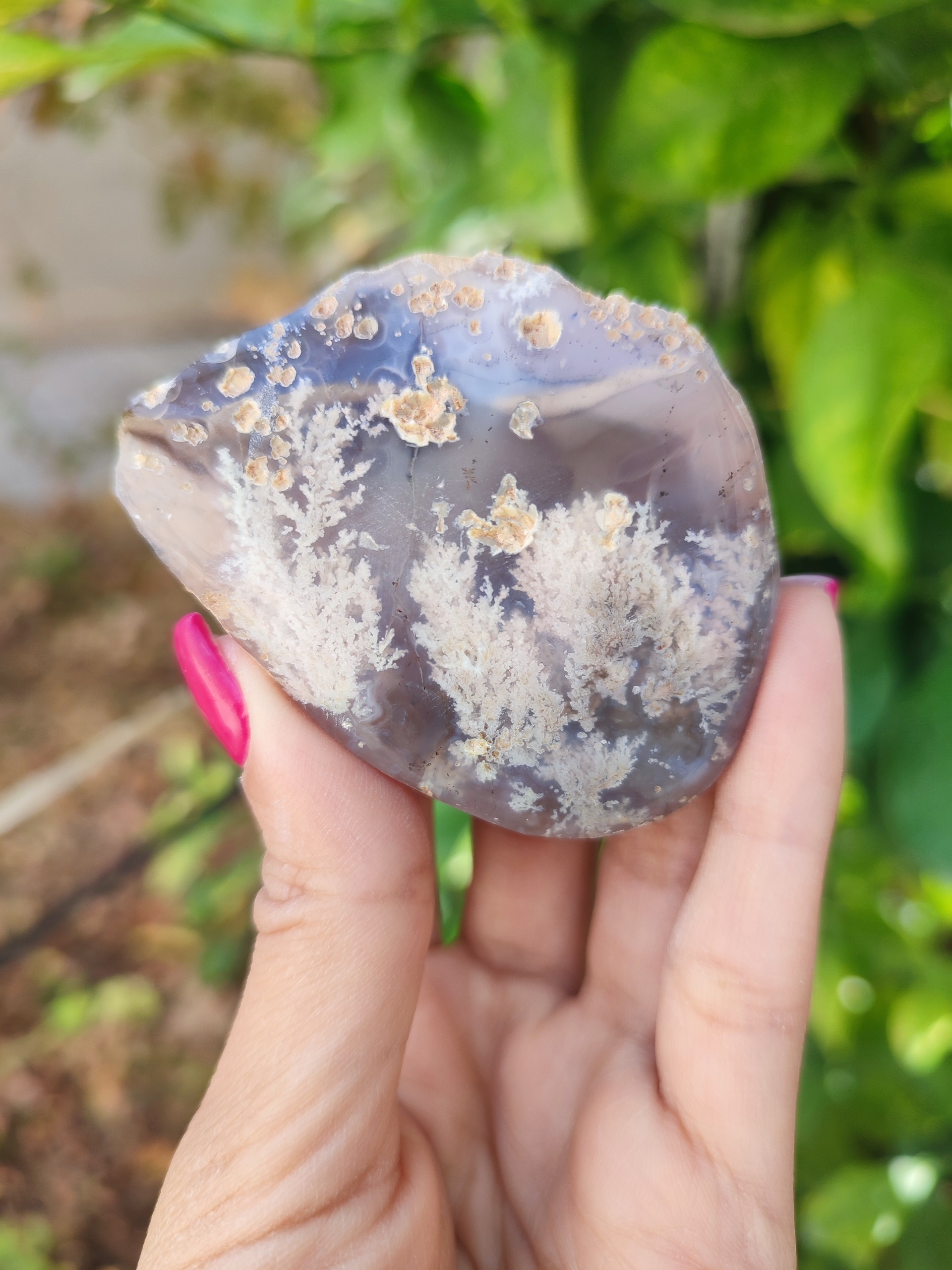 شجر بهاری کلکسیونی پولیش خورده