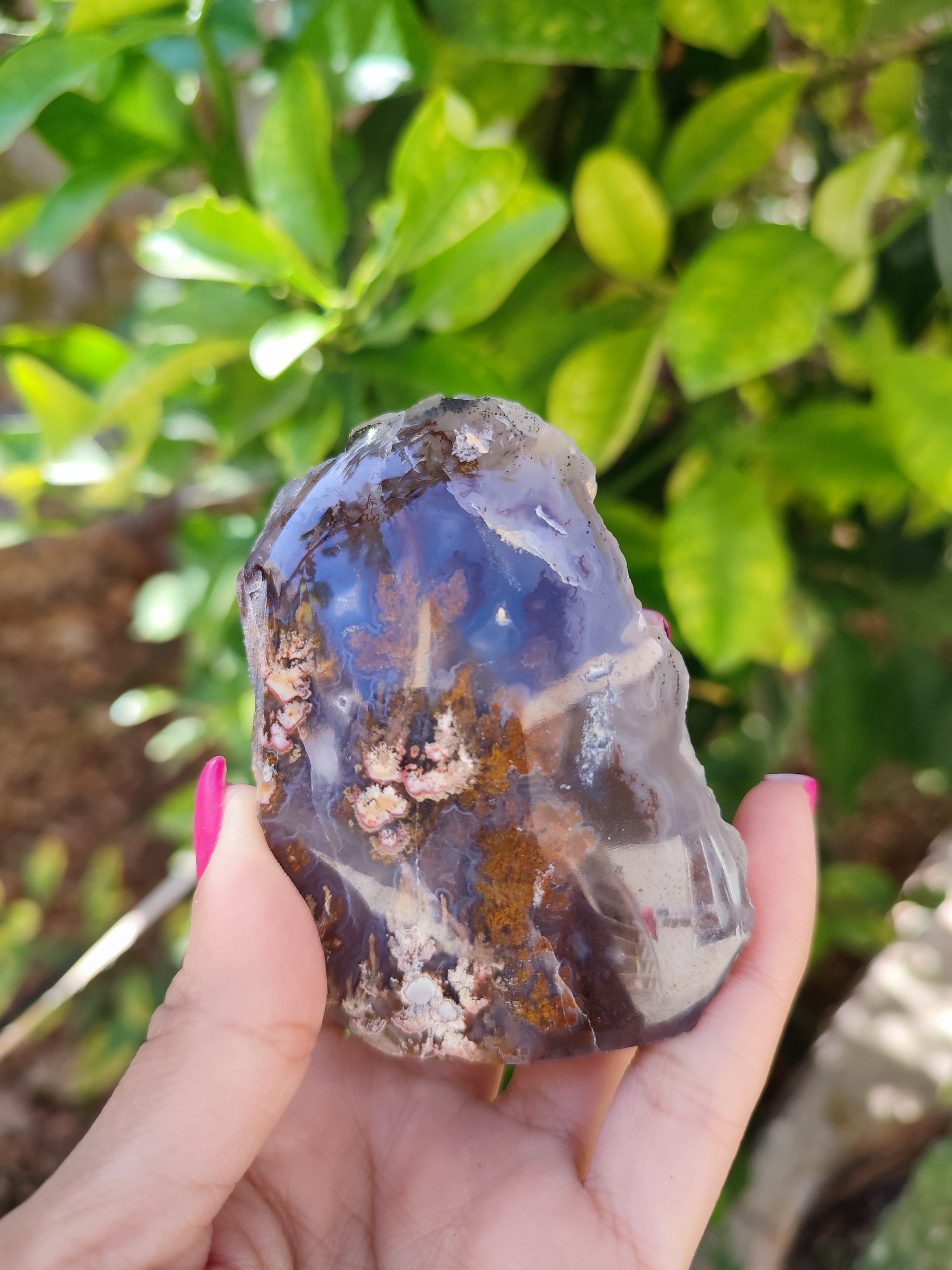 شجر پاییزی پولیش خورده